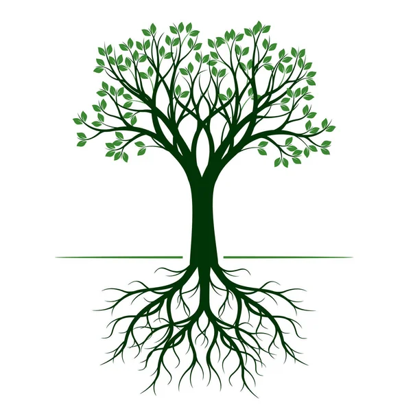 Baumform Mit Grünen Blättern Vektorskizze Illustration Pflanze Garten Eps Datei — Stockvektor