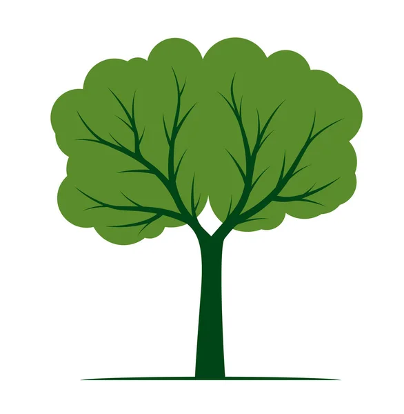 Forma Árvore Com Folhas Verdes Esboço Vetorial Ilustração Planta Jardim — Vetor de Stock