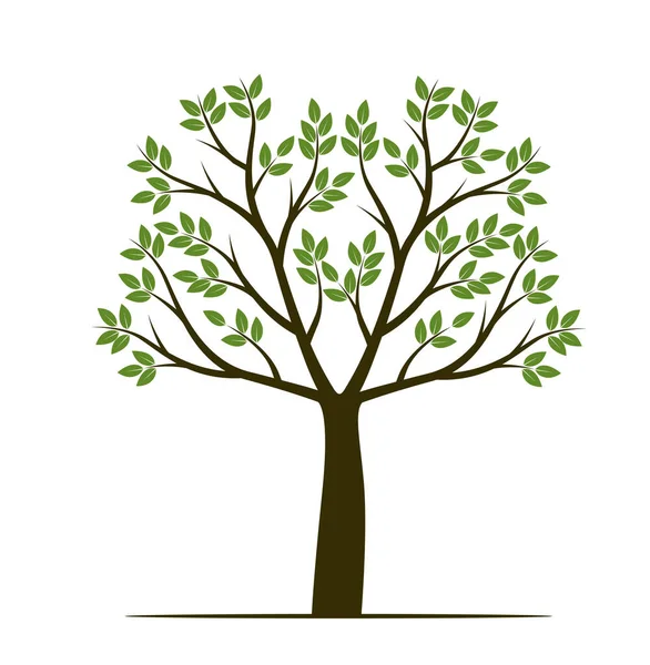 Форма Дерева Листям Фруктами Корінням Векторний Контур Ілюстрація Рослина Саду — стоковий вектор