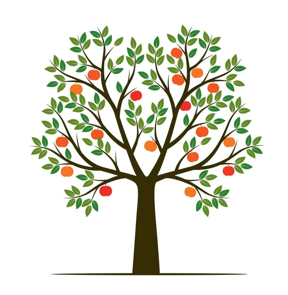 Yapraklı ve meyveli bir ağaç. Vektör taslağı çizimi. Bahçede Bitki.
