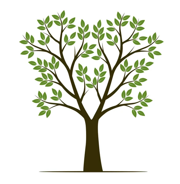 Yapraklı, meyveli ve köklü ağaç şekli. Vektör taslağı çizimi. Bahçede Bitki.