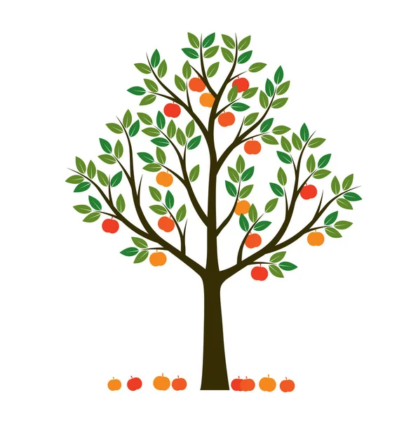 Yapraklı ve meyveli bir ağaç. Vektör taslağı çizimi. Bahçede Bitki.