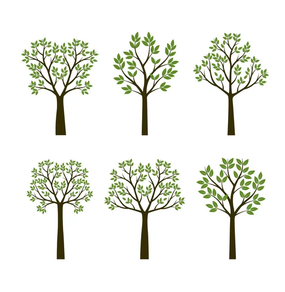 Set Forme Arbre Avec Des Feuilles Schéma Vectoriel Illustration Plante — Image vectorielle