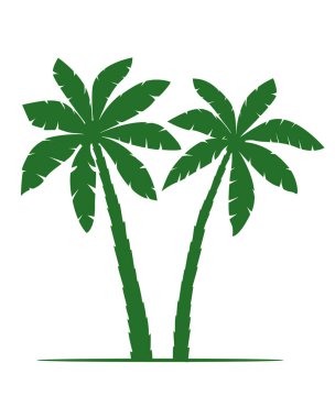 Palmiye ağaçları silueti vektör çizimi beyaz arka planda izole edildi. Vektör İllüstrasyonu. 