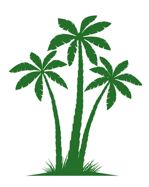 棕榈树的轮廓矢量插图孤立在白色背景 病媒图解 — 图库矢量图片