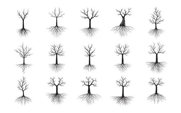 Set Schwarze Bäume Mit Wurzeln Vektorskizze Illustration Pflanze Garten — Stockvektor
