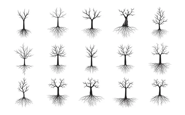 Imposta Alberi Neri Con Radici Illustrazione Del Profilo Vettoriale Pianta — Vettoriale Stock