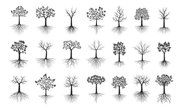 Посадите Черные Деревья Листьями Корнями Векторный Контур Иллюстрации Посадить Саду — стоковый вектор