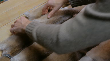 Skinner vizon kürklü deriyle çalışıyor.