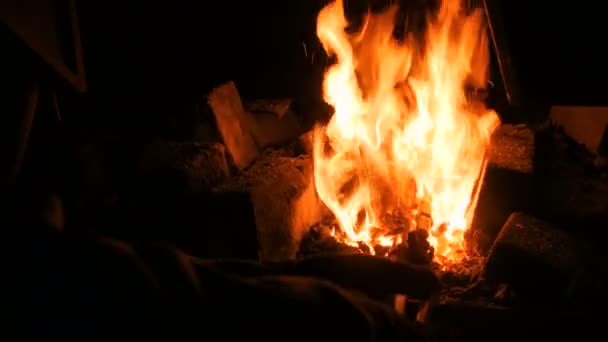 Fuego ardiente en el horno — Vídeos de Stock