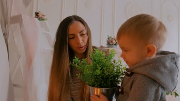 Gelukkig jong moeder en haar baby zoon spelen togerher — Stockvideo