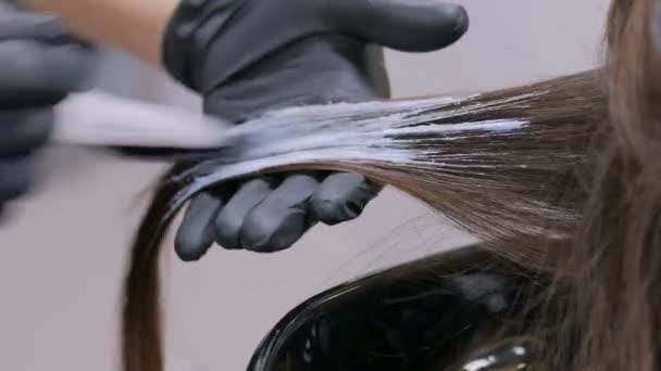 Peluquería profesional para colorear el cabello de la mujer cliente en el estudio — Vídeo de stock