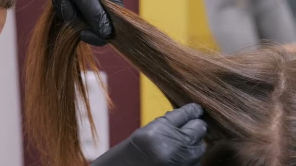 クライアントのヘアスタイルをしているプロの美容師 — ストック動画
