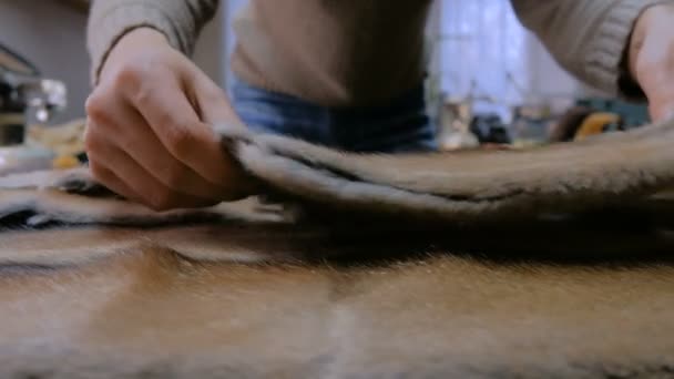 Skinner working with mink fur skin — Stock Video