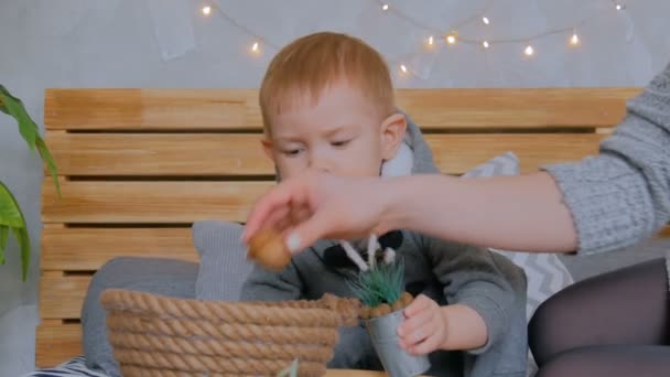 Šťastná mladá matka a její syn hrát s vlašskými ořechy — Stock video