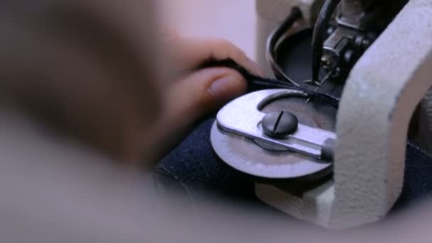 Skinner using sewing machine for stitching fur skin at atelier — Stock Video