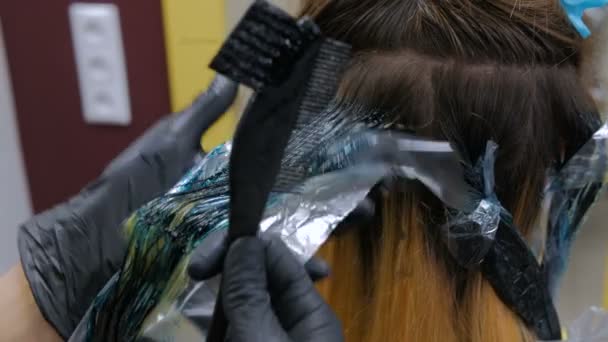 Cabeleireiro profissional colorir o cabelo da mulher cliente no estúdio — Vídeo de Stock