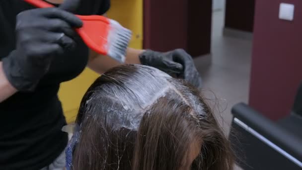 Profi fodrász színező a haj nő ügyfél stúdió — Stock videók