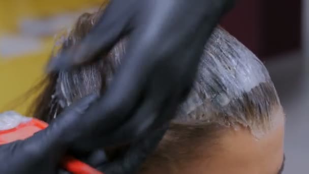 Parrucchiere professionista che arrossisce capelli di cliente di donna a studio — Video Stock