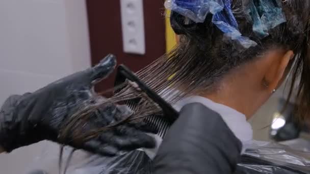 クライアントのヘアスタイルをしているプロの美容師 — ストック動画