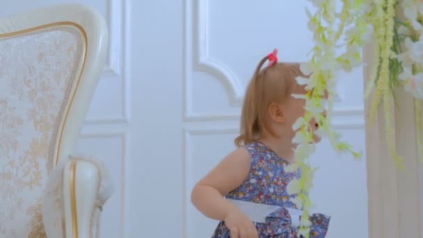 Portret van een grappig klein meisje thuis — Stockvideo