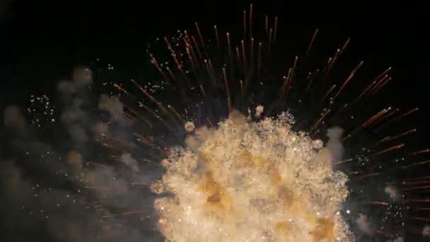 Feux d'artifice colorés la nuit — Video