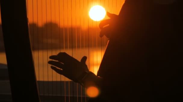 Silhouette de femme jouant de la harpe au coucher du soleil — Video