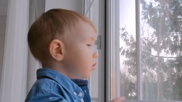 Pensive little boy looking through window — Stock Video