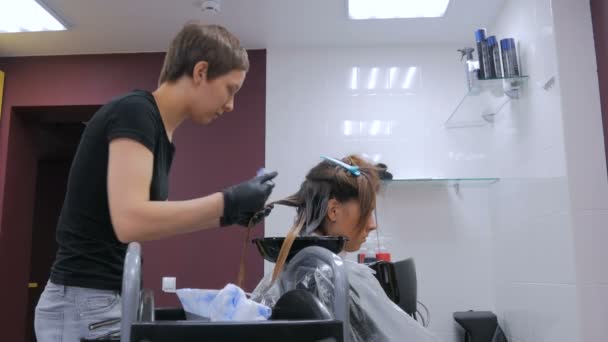 Cabeleireiro profissional colorir o cabelo da mulher cliente no estúdio — Vídeo de Stock