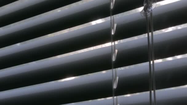 Resplandor de lente solar a través de persianas — Vídeo de stock