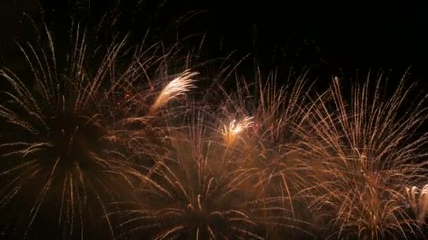 Buntes Feuerwerk in der Nacht — Stockvideo