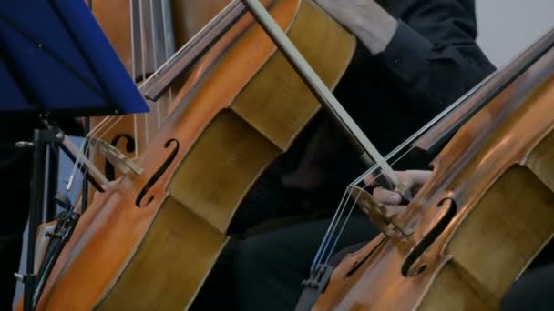 Concerto Sinfônico Mulher Irreconhecível Homem Tocando Violoncelo Tiro Perto Conceito — Vídeo de Stock