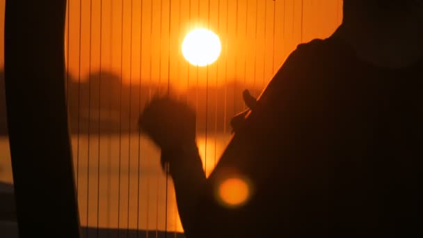 Sylwetka kobiety gra harfa o zachodzie słońca — Wideo stockowe