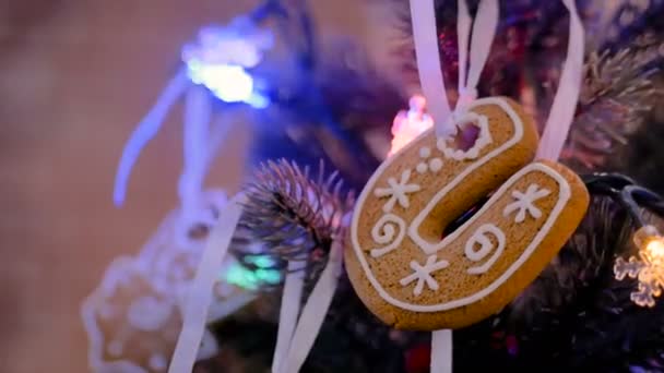 Christmas holiday inredning med pepparkakor cookie — Stockvideo