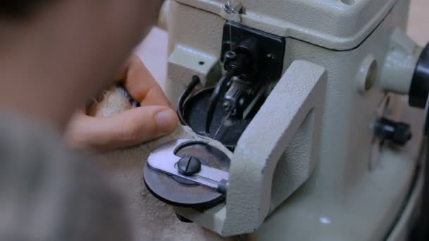 Skinner usando máquina de costura para costurar pele de pele no atelier — Vídeo de Stock