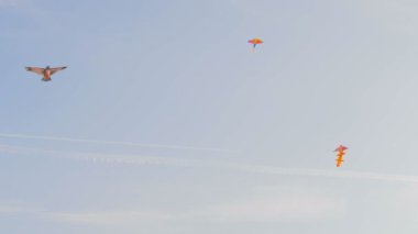 Mavi gökyüzünde uçan renkli uçurtmalar