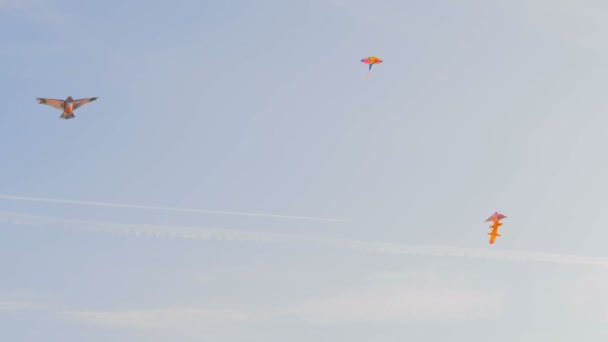 Aquiloni colorati che volano nel cielo blu — Video Stock