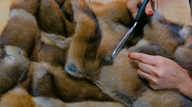 Terzi dikiş düğme kürk palto