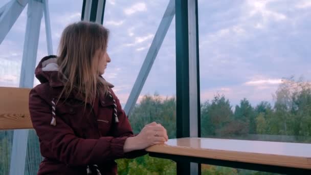 Mujer mira el parque desde la cabina de la rueda de la fortuna — Vídeos de Stock