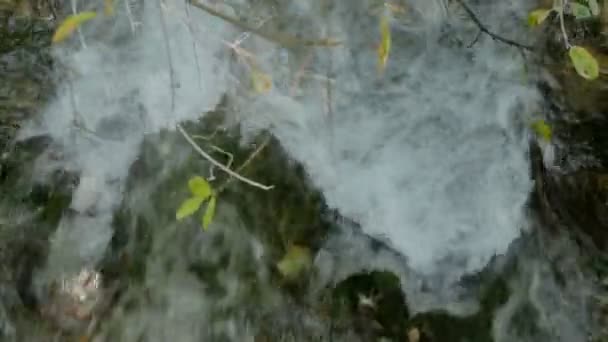 Быстрый речной поток — стоковое видео