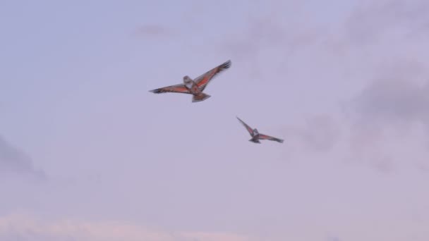 Cerfs-volants colorés volant dans le ciel bleu — Video