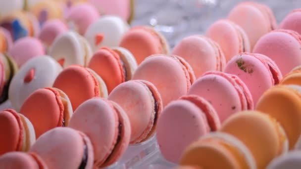 Macarons colorés dans la vitrine de la boutique de bonbons — Video