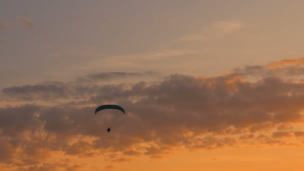 Paramotor volando en el cielo — Vídeo de stock