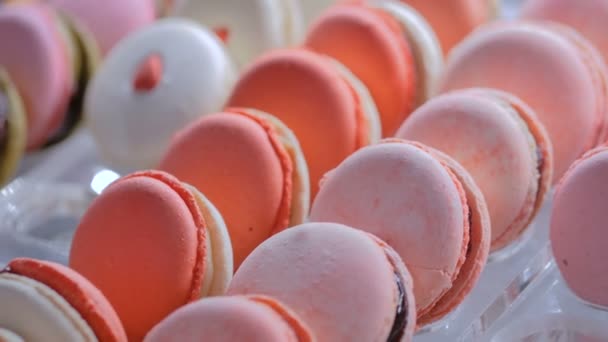 Macarons coloridos em vitrine de loja de doces — Vídeo de Stock