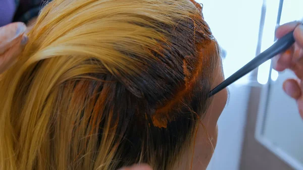 Professional hairdresser coloring hair of woman client at studio