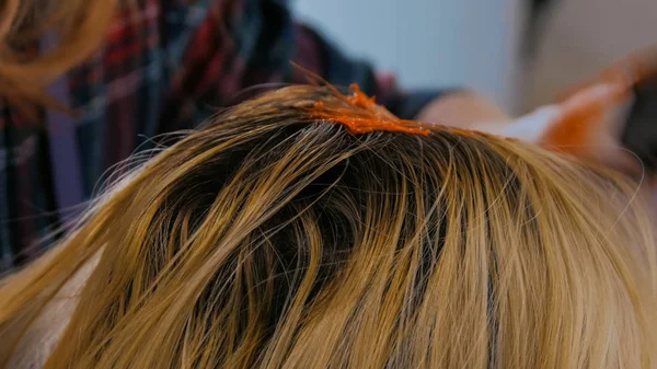 Proceso de coloración del cabello de la mujer cliente en el estudio — Foto de Stock