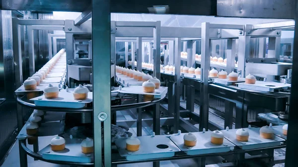 Ice cream automatic production line - conveyor belt with icecream cones