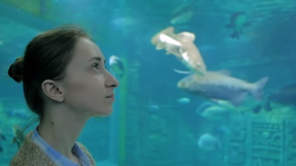 Oceanarium 'da büyük bir akvaryum tankında balık girdabına bakan bir kadın. — Stok video