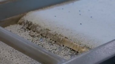 Otomatik konveyör bant üzerinde geri dönüştürülmüş plastik granüller