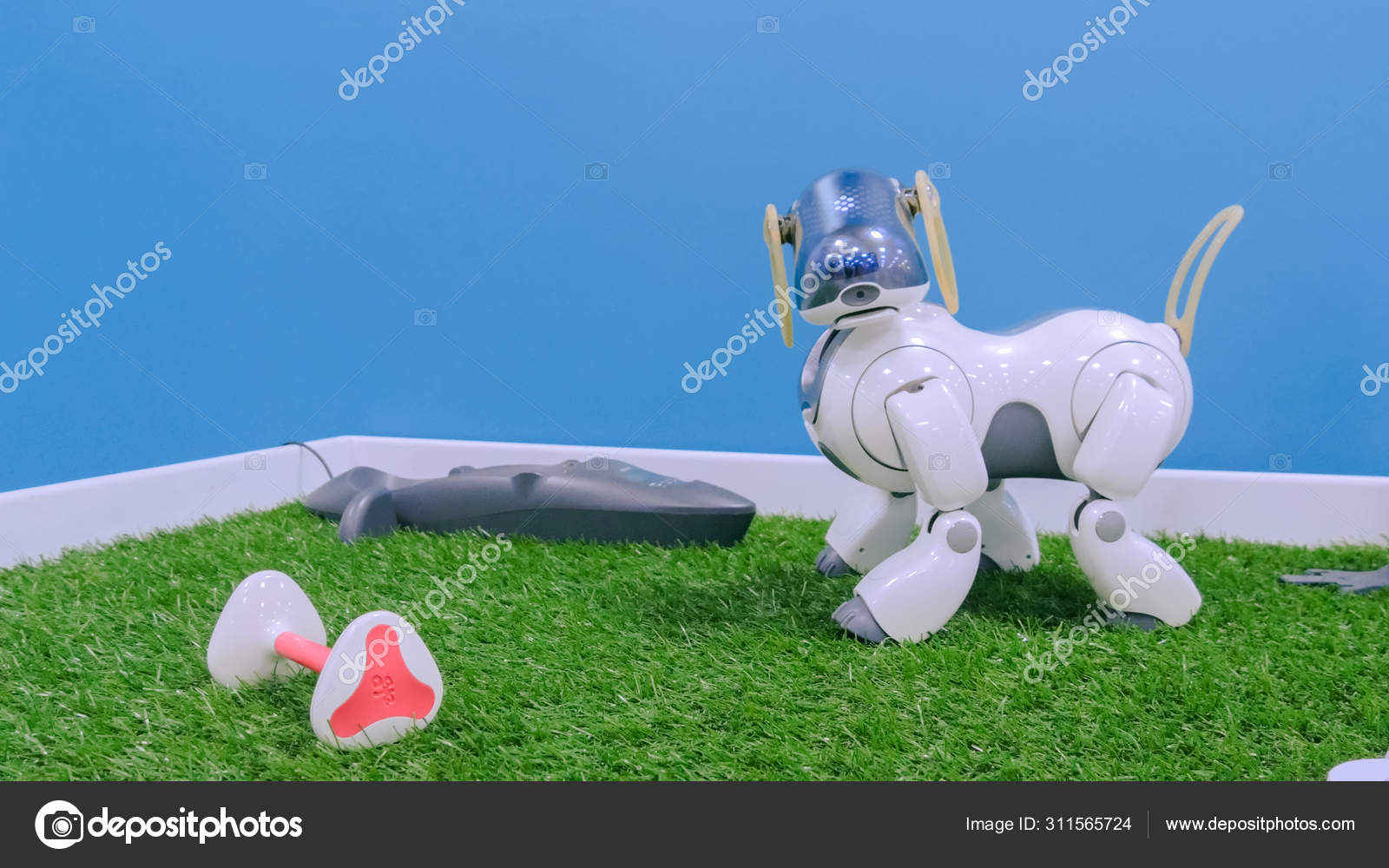 blue and white robot dog